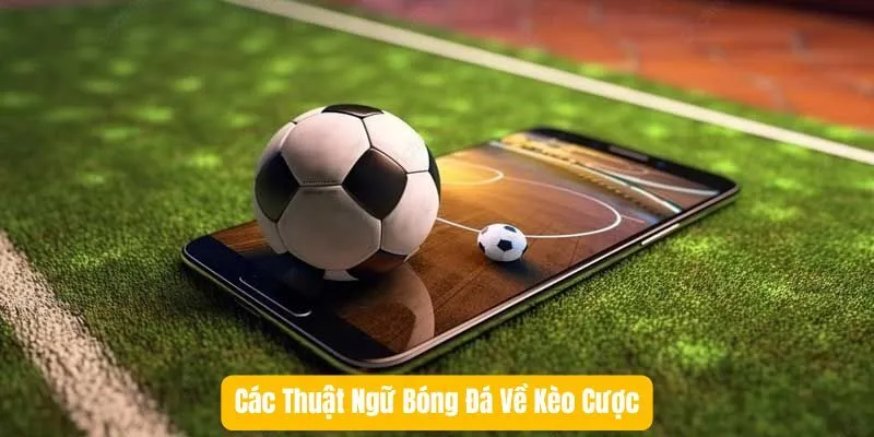 Các Thuật Ngữ Bóng Đá Về Kèo Cược