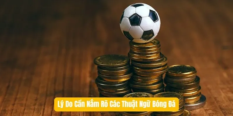 Lý Do Cần Nắm Rõ Các Thuật Ngữ Bóng Đá