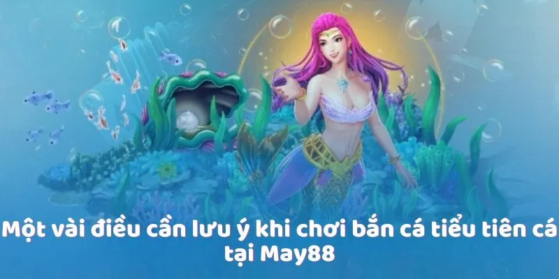 Một vài điều cần lưu ý khi chơi bắn cá tiểu tiên cá tại May88