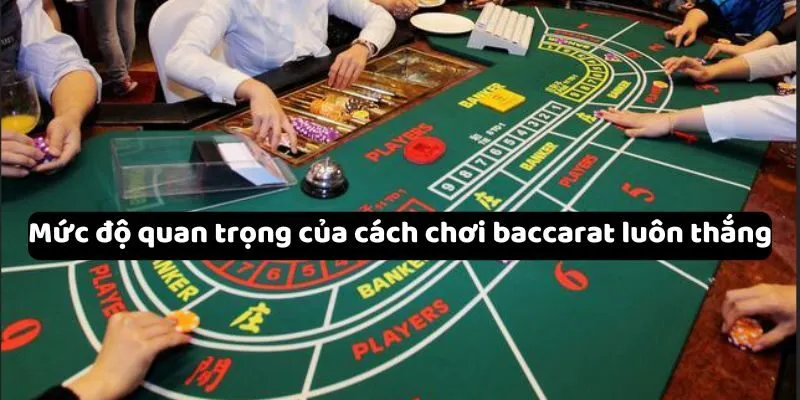 Mức độ quan trọng của cách chơi baccarat luôn thắng