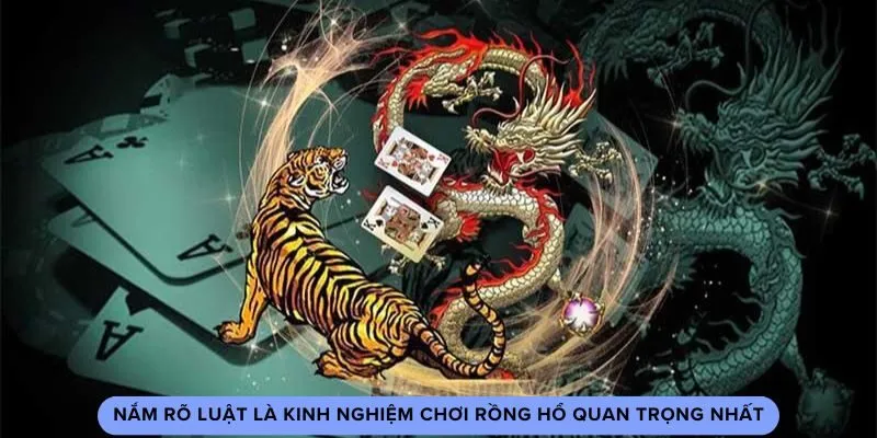 Nắm rõ luật là kinh nghiệm chơi rồng hổ quan trọng nhất